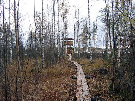 Tuomiojärven lintutorni